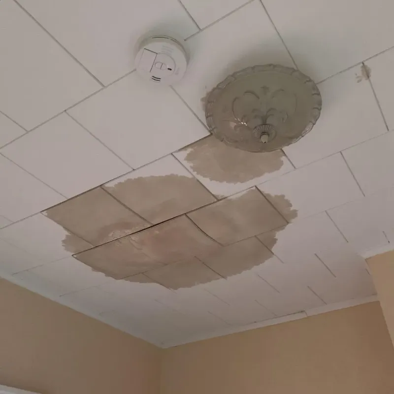 Ceiling Water Damage Repair in Weldon Spring, MO